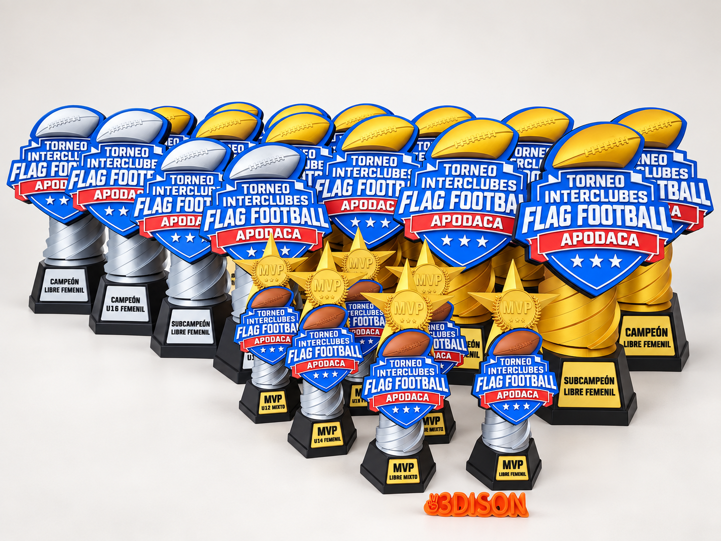 Trofeos Tochito Bandera